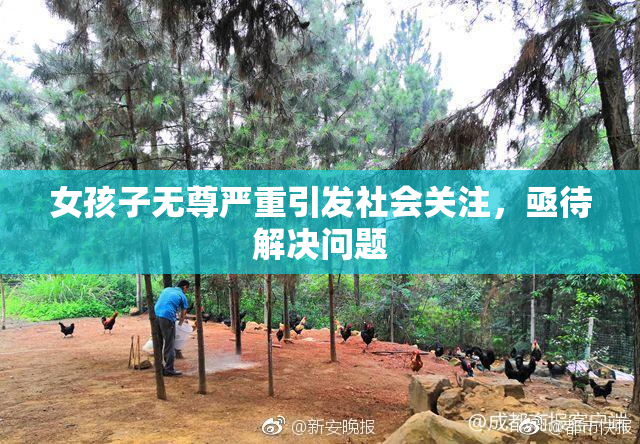 女孩子无尊严重引发社会关注，亟待解决问题