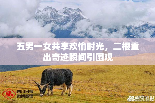 五男一女共享欢愉时光，二根重出奇迹瞬间引围观