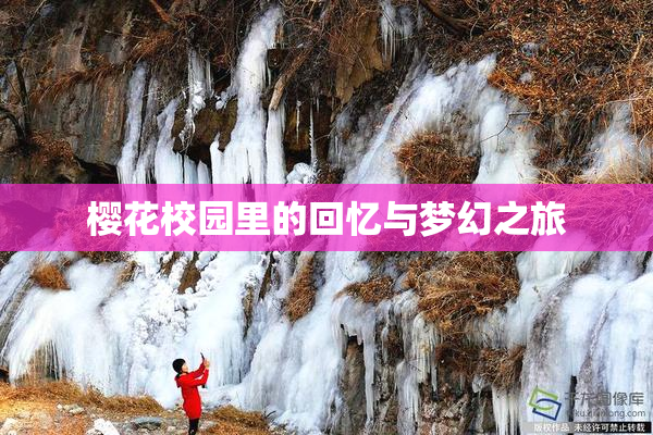 樱花校园里的回忆与梦幻之旅