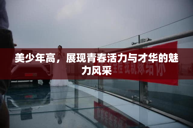 美少年高，展现青春活力与才华的魅力风采
