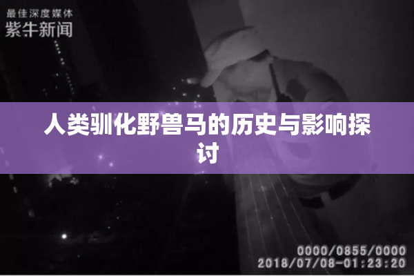 人类驯化野兽马的历史与影响探讨