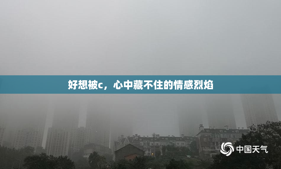 好想被c，心中藏不住的情感烈焰
