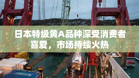 日本特级黄A品种深受消费者喜爱，市场持续火热