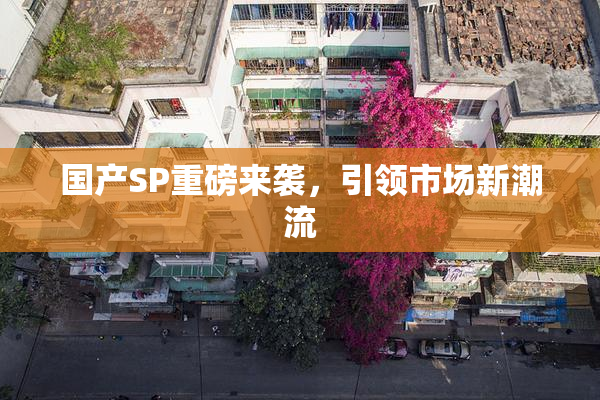 国产SP重磅来袭，引领市场新潮流