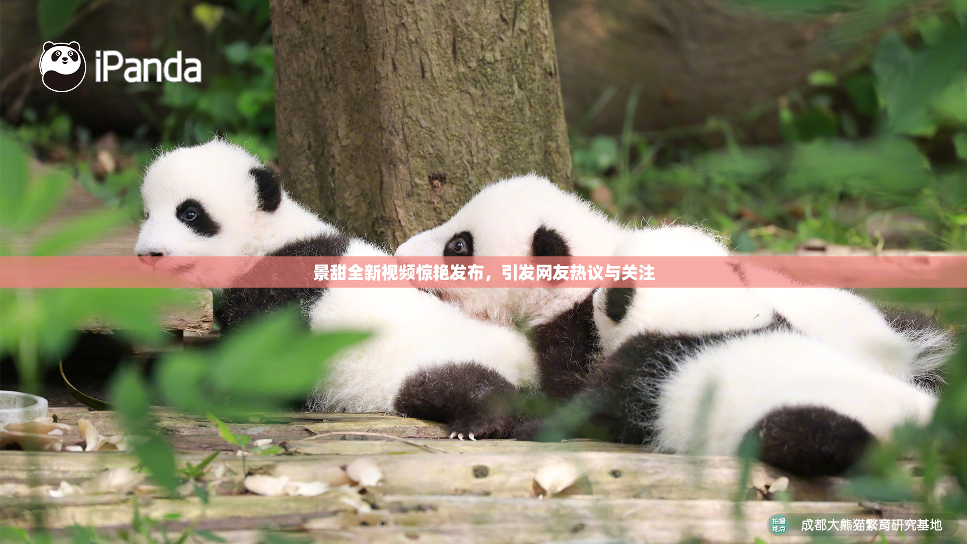 景甜全新视频惊艳发布，引发网友热议与关注