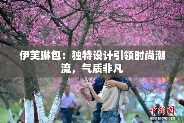 伊芙琳包：独特设计引领时尚潮流，气质非凡