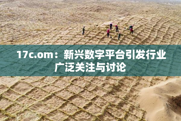 17c.om：新兴数字平台引发行业广泛关注与讨论