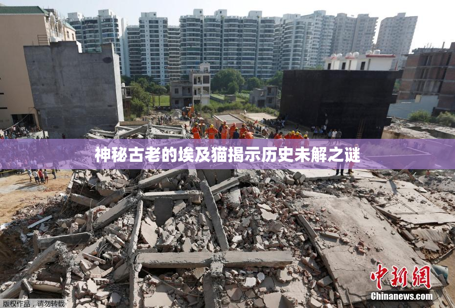 神秘古老的埃及猫揭示历史未解之谜