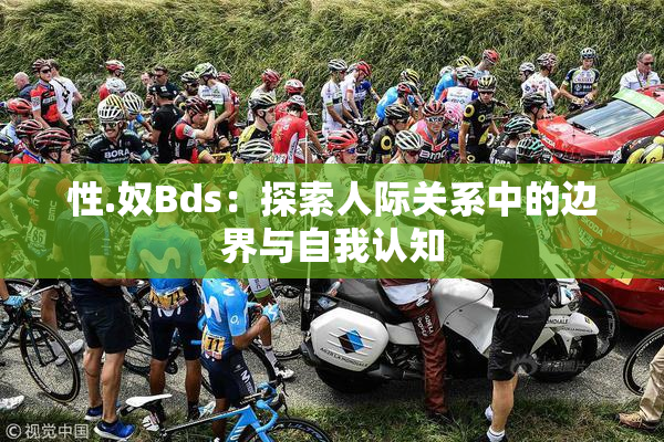 性.奴Bds：探索人际关系中的边界与自我认知