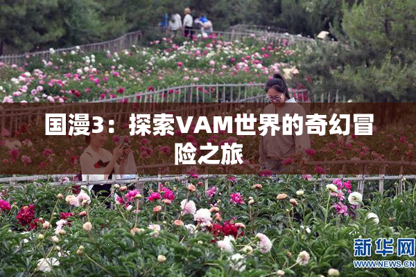 国漫3：探索VAM世界的奇幻冒险之旅