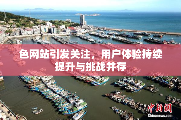 色网站引发关注，用户体验持续提升与挑战并存