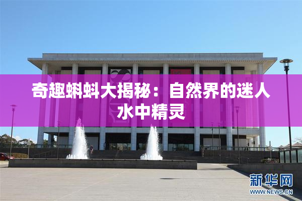 奇趣蝌蚪大揭秘：自然界的迷人水中精灵