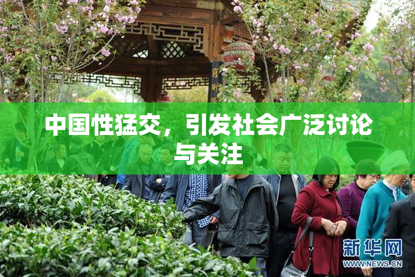 中国性猛交，引发社会广泛讨论与关注