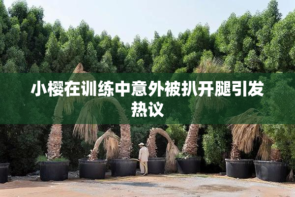 小樱在训练中意外被扒开腿引发热议