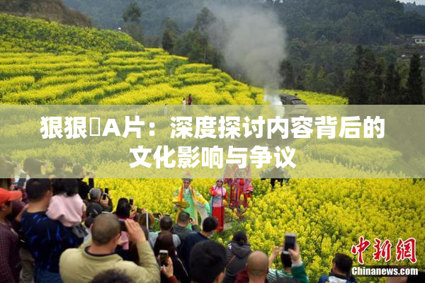 狠狠穞A片：深度探讨内容背后的文化影响与争议
