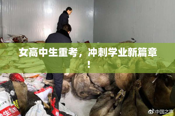 女高中生重考，冲刺学业新篇章！