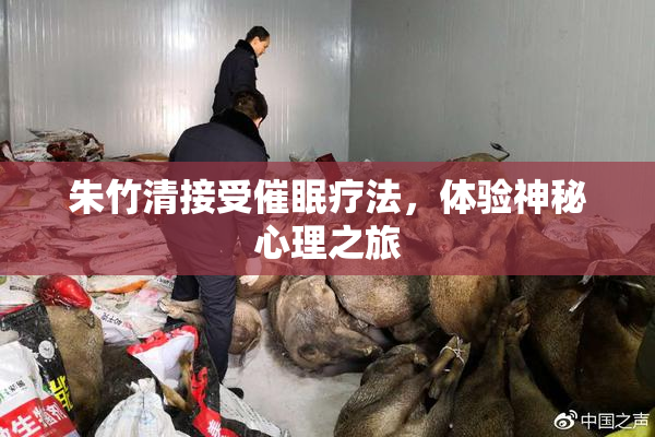 朱竹清接受催眠疗法，体验神秘心理之旅