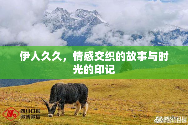 伊人久久，情感交织的故事与时光的印记