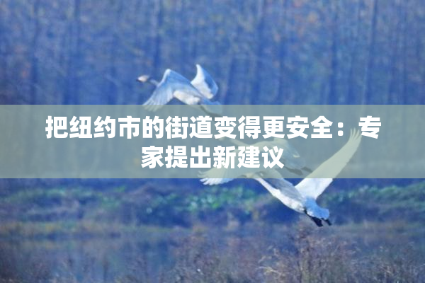 把纽约市的街道变得更安全：专家提出新建议