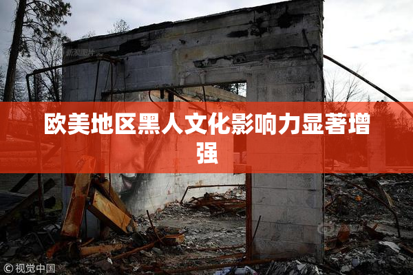 欧美地区黑人文化影响力显著增强