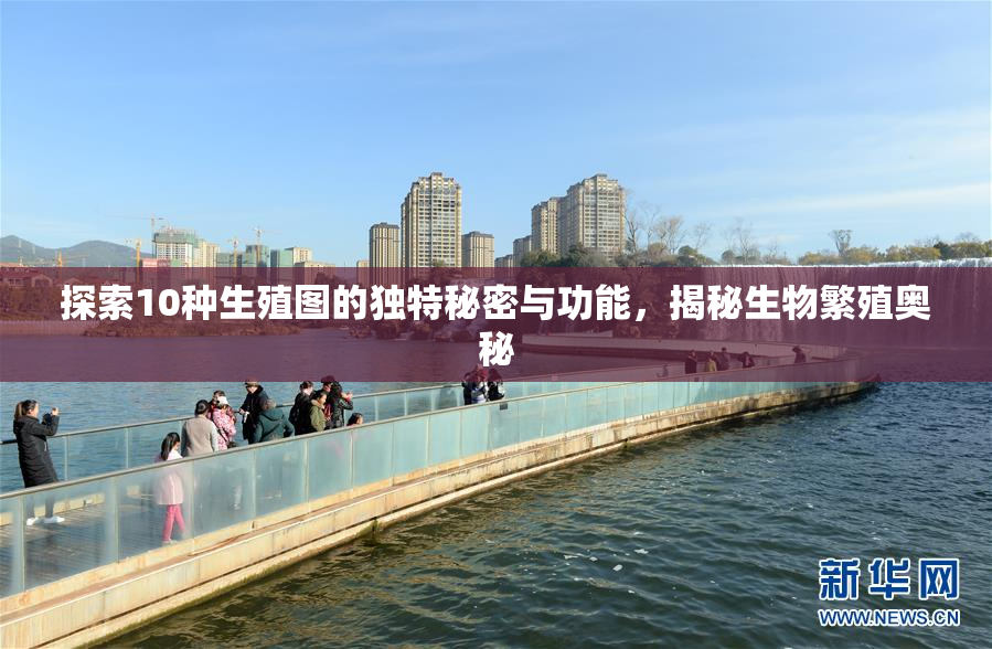 探索10种生殖图的独特秘密与功能，揭秘生物繁殖奥秘