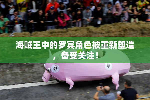 海贼王中的罗宾角色被重新塑造，备受关注！