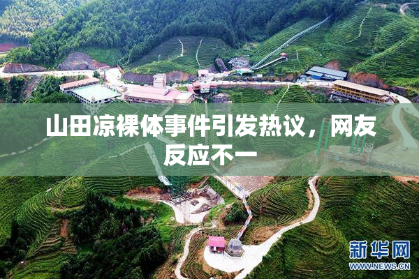 山田凉裸体事件引发热议，网友反应不一