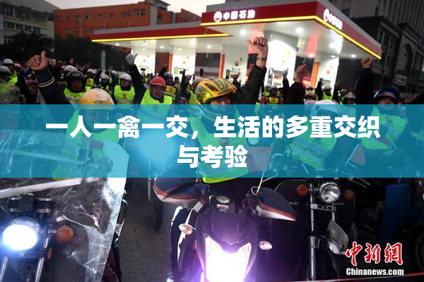 一人一禽一交，生活的多重交织与考验