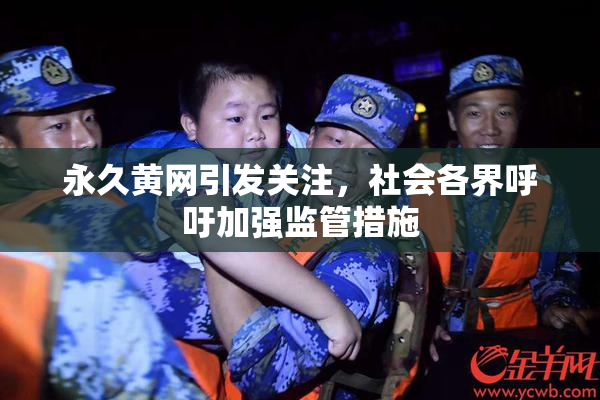 永久黄网引发关注，社会各界呼吁加强监管措施