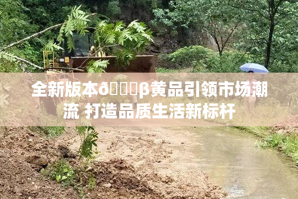 全新版本🔞β黄品引领市场潮流 打造品质生活新标杆