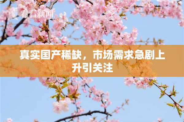 真实国产稀缺，市场需求急剧上升引关注
