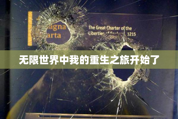 无限世界中我的重生之旅开始了