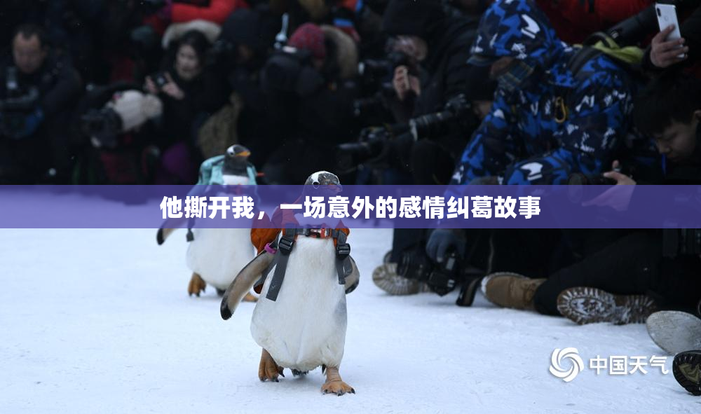 他撕开我，一场意外的感情纠葛故事