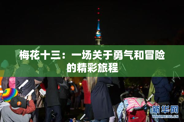 梅花十三：一场关于勇气和冒险的精彩旅程