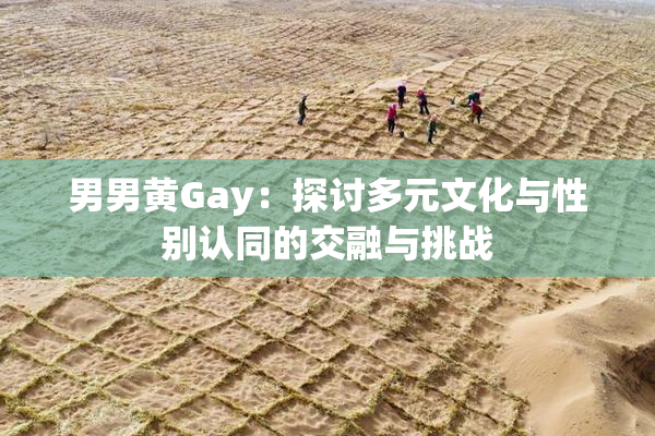 男男黄Gay：探讨多元文化与性别认同的交融与挑战