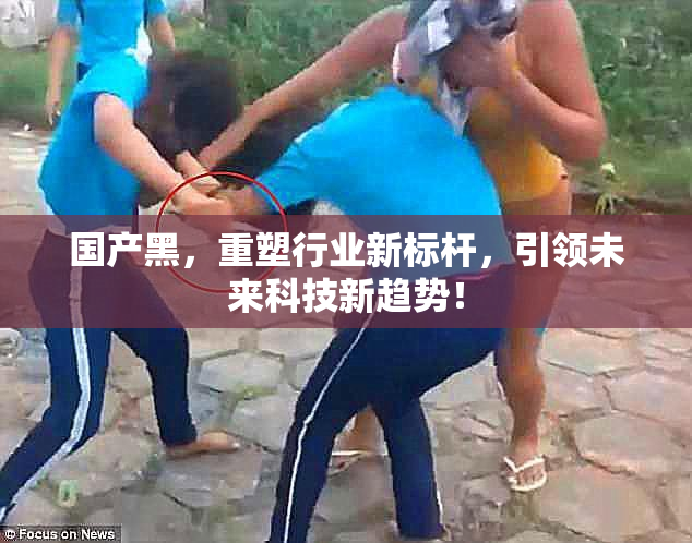 国产黑，重塑行业新标杆，引领未来科技新趋势！