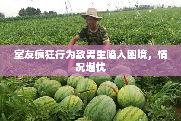 室友疯狂行为致男生陷入困境，情况堪忧