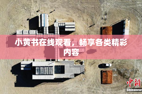小黄书在线观看，畅享各类精彩内容