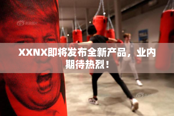 XXNX即将发布全新产品，业内期待热烈！
