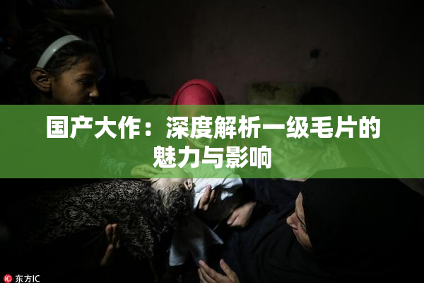 国产大作：深度解析一级毛片的魅力与影响