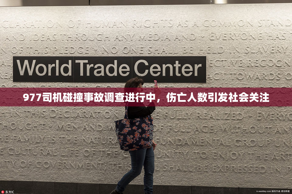977司机碰撞事故调查进行中，伤亡人数引发社会关注