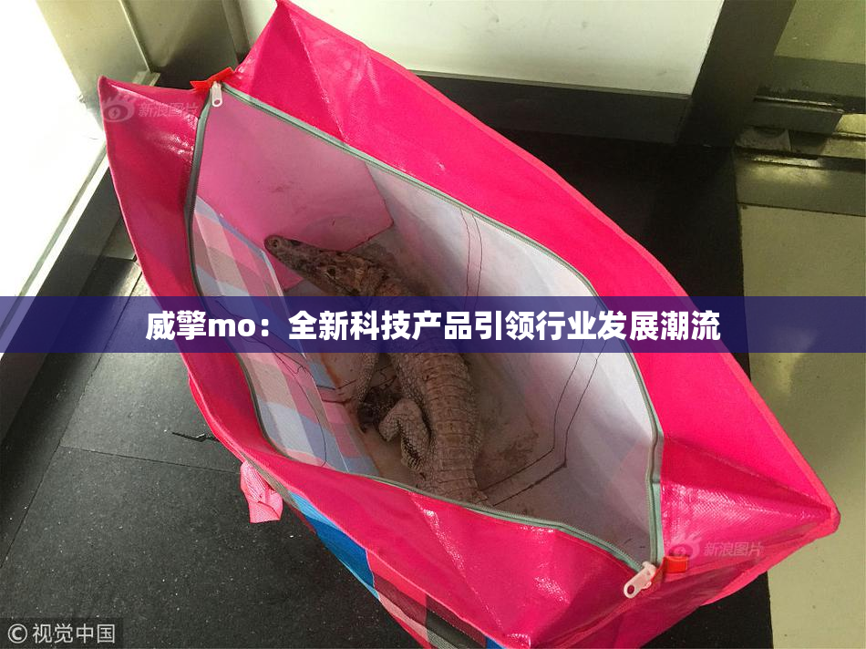 威擎mo：全新科技产品引领行业发展潮流
