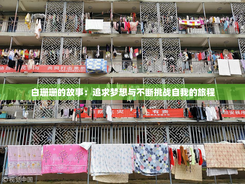 白珊珊的故事：追求梦想与不断挑战自我的旅程