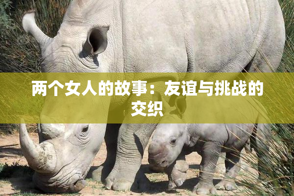 两个女人的故事：友谊与挑战的交织
