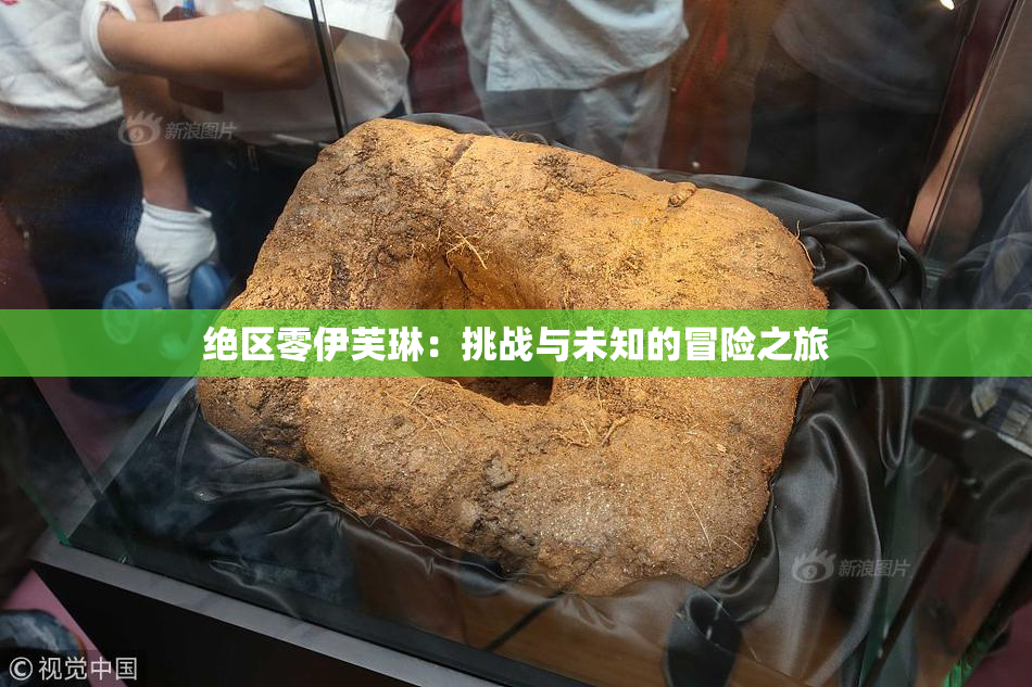 绝区零伊芙琳：挑战与未知的冒险之旅