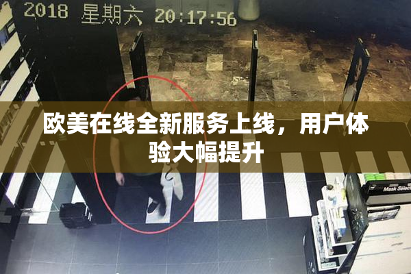 欧美在线全新服务上线，用户体验大幅提升