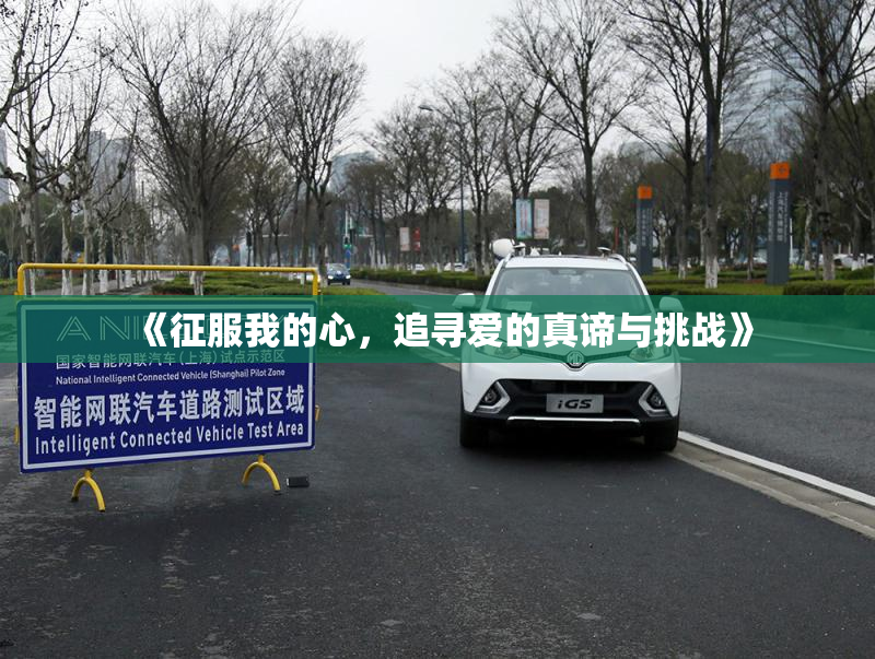《征服我的心，追寻爱的真谛与挑战》
