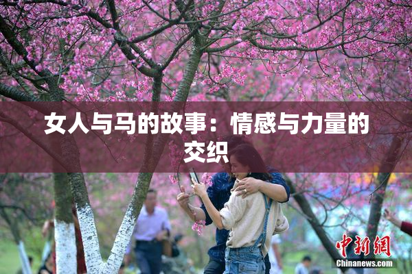 女人与马的故事：情感与力量的交织