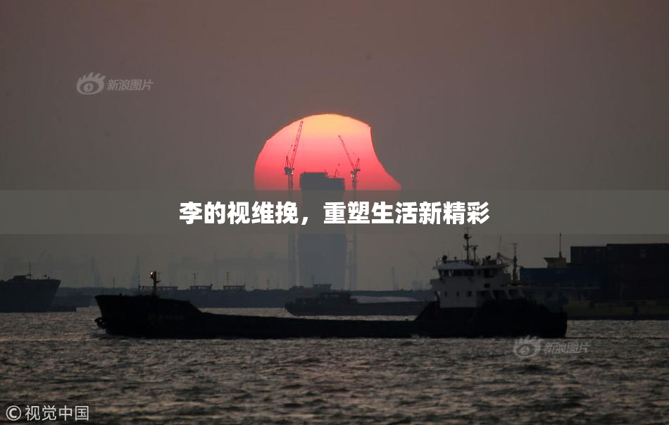 李的视维挽，重塑生活新精彩