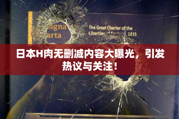日本H肉无删减内容大曝光，引发热议与关注！